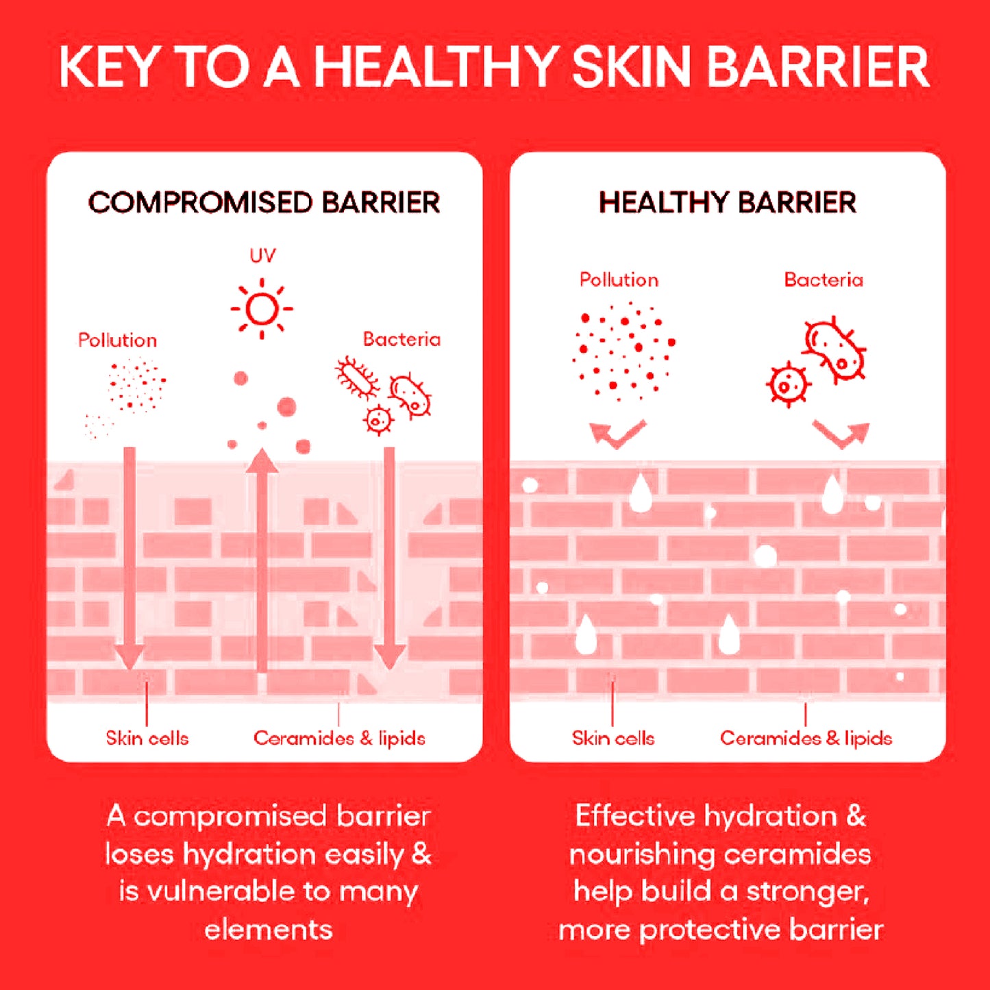 Skin Repair